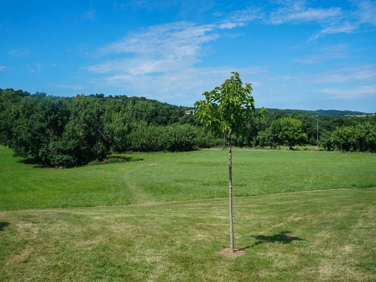 Superb Holiday Home With Private Pool Saint-Beauzile France